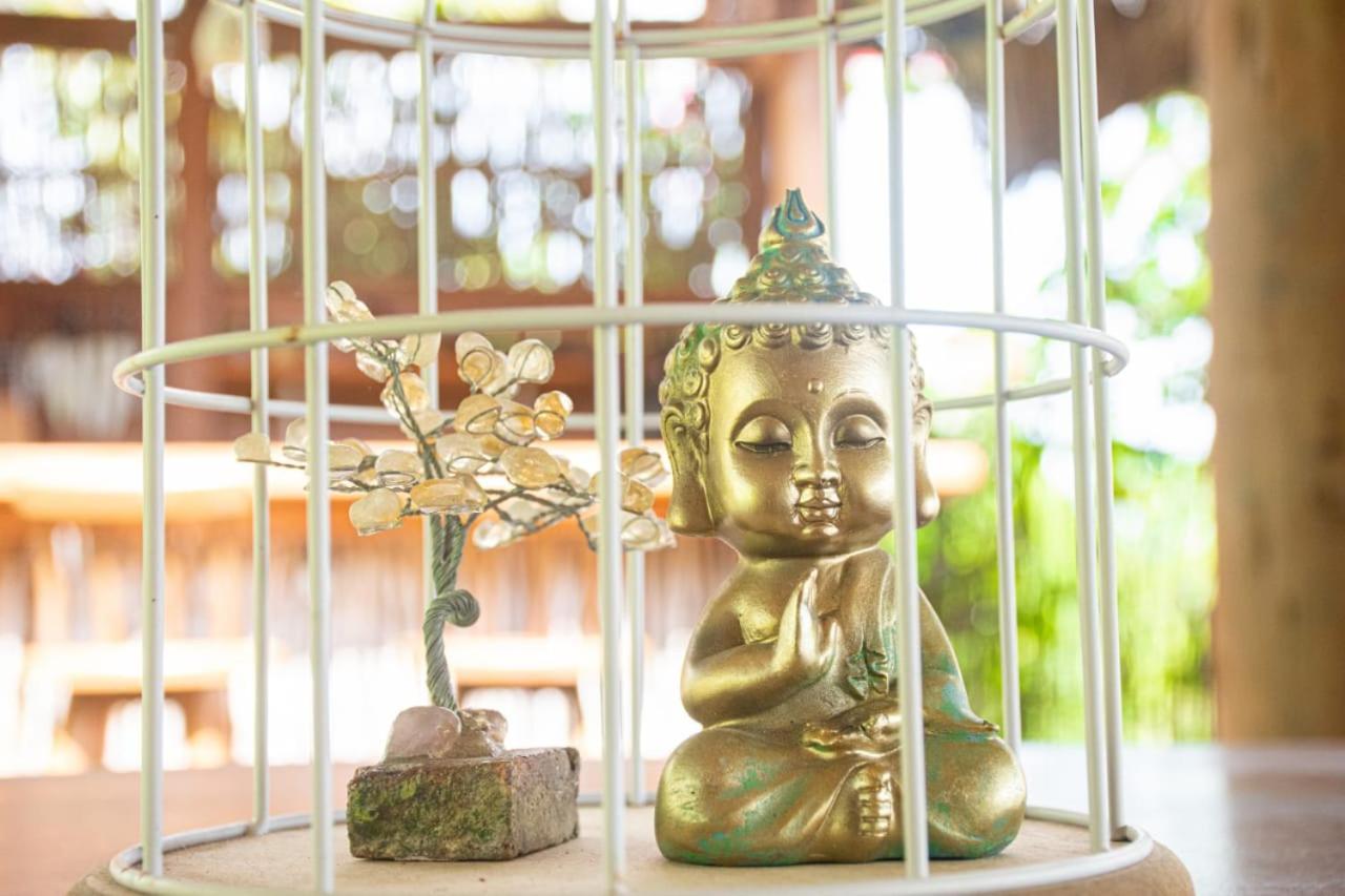 Pousada Villa Del Lotus 이타레마 외부 사진
